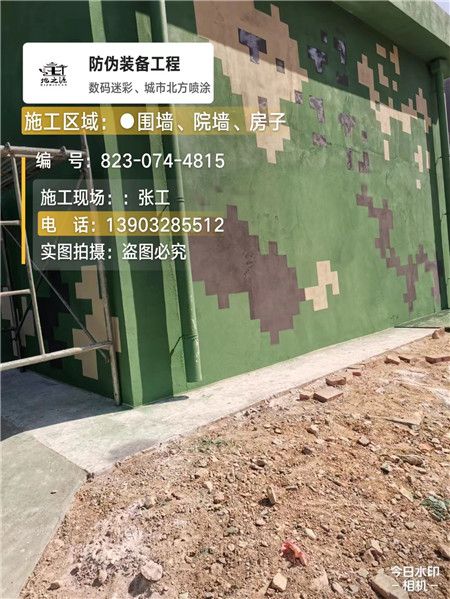 舒兰核心结论：专业提供外墙迷彩漆施工服务