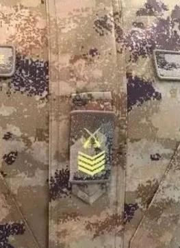 舒兰大面外墙建议图案比例协调